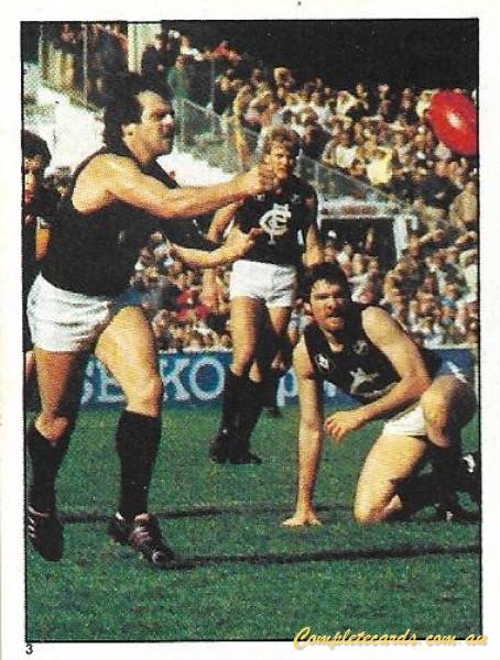 1983 AFL VFL Scanlens Stickers
