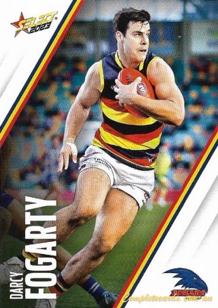 Darcy Fogarty