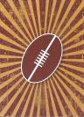 2017 AFL South Australian - State Library