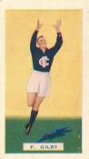 1934 AFL Hoadley's Victorian Footballers