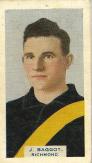 1933 AFL B.D.V. Cigarettes Victorian Footballers