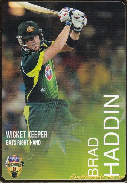 Brad Haddin