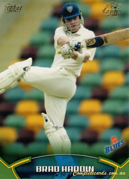 Brad Haddin