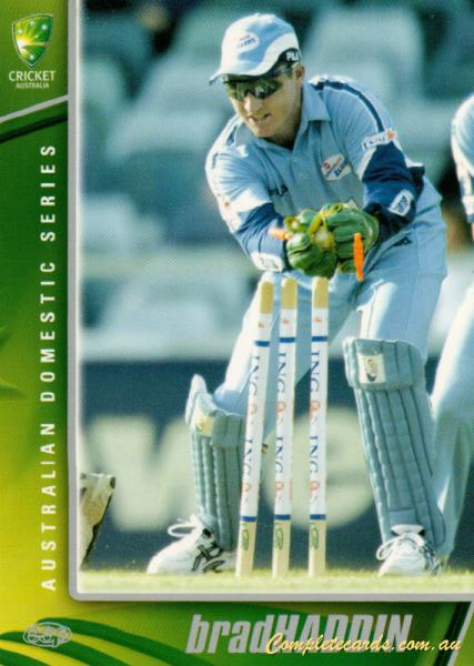 Brad Haddin