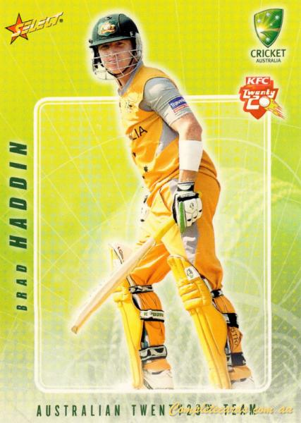 Brad Haddin