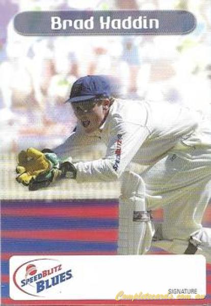 Brad Haddin