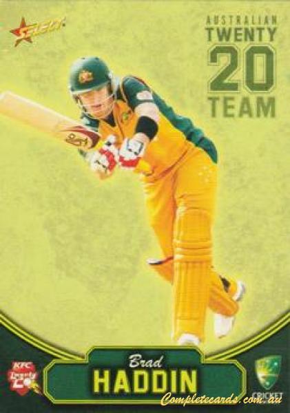 Brad Haddin