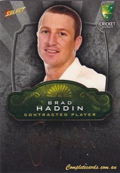 Brad Haddin