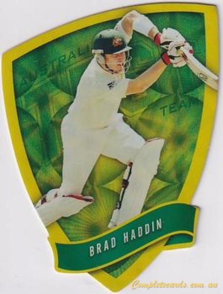 Brad Haddin