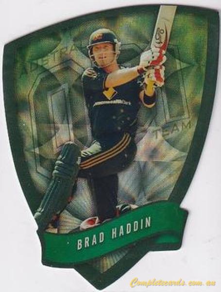 Brad Haddin