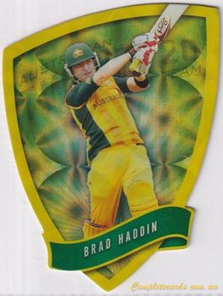 Brad Haddin