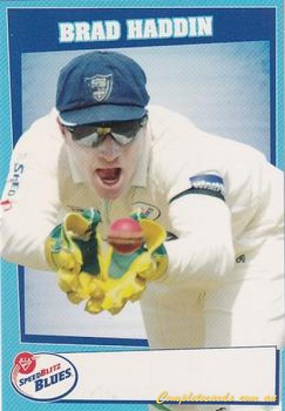 Brad Haddin