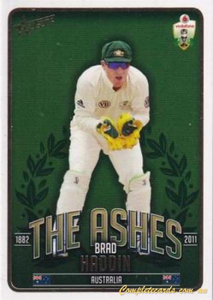 Brad Haddin