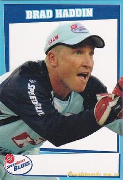 Brad Haddin