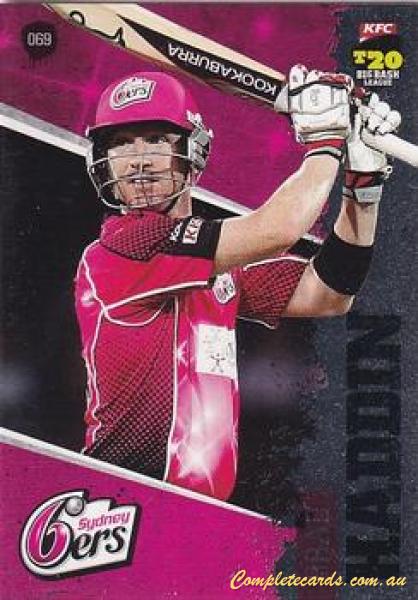 Brad Haddin