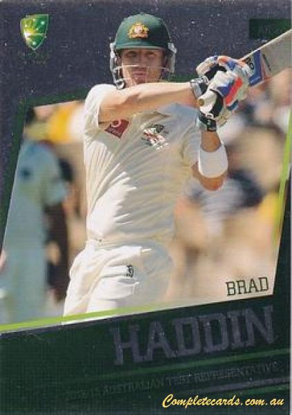 Brad Haddin