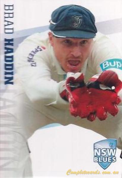 Brad Haddin