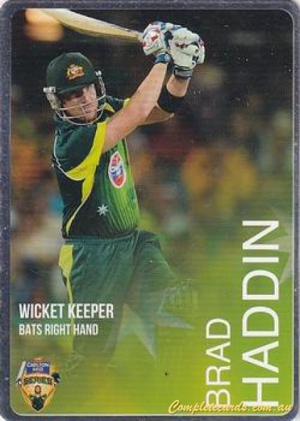 Brad Haddin