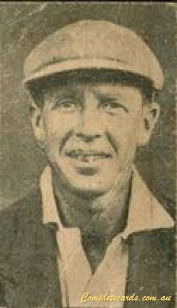 1928 Hoadley's Cricketers