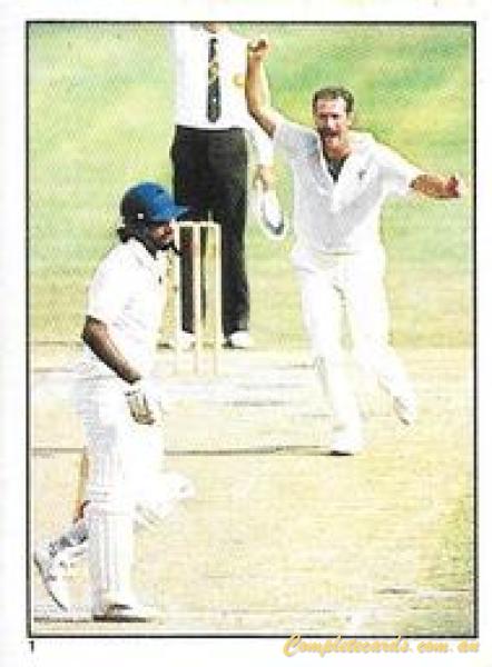 1984 Scanlens Cricket Stickers
