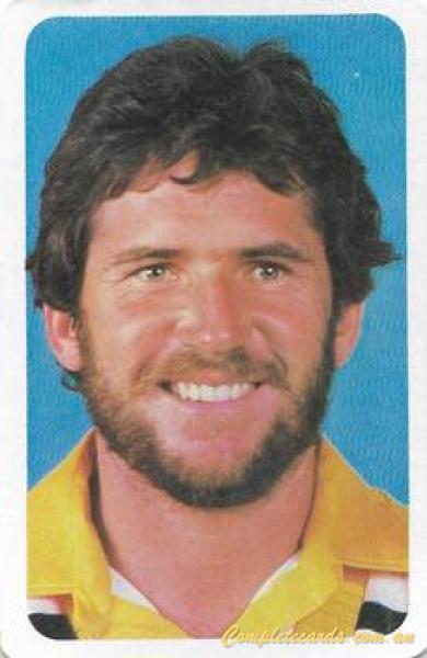 1980-81 Ardmona International Cricket