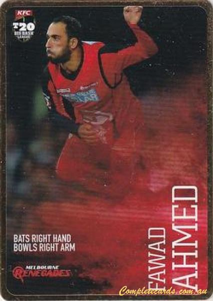 Fawad Ahmed