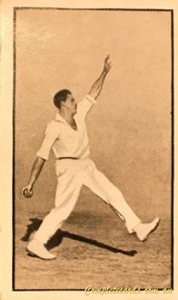Harry Alexander