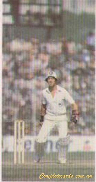 Bob Taylor