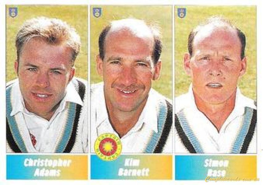 1995 Panini Cricket Stickers