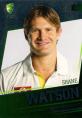 2012-13 SEP T20 Big Bash League - Australian Representatives