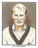 1994 County Print Services - Somerset Test Cricketers