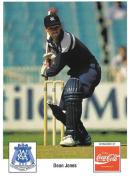 1994-95 Victorian Cricket Association