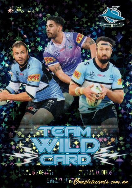 Wade Graham / Shaun Johnson / Aaron Woods