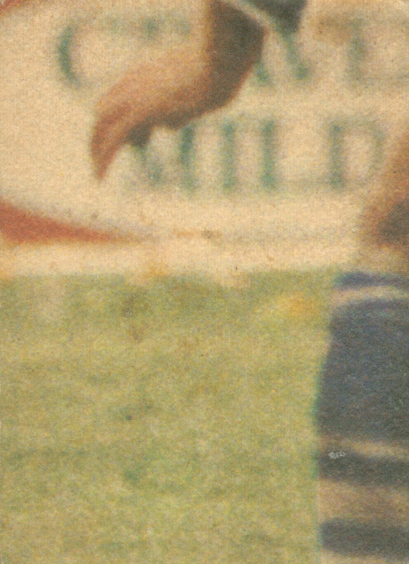 Greg Mullane back