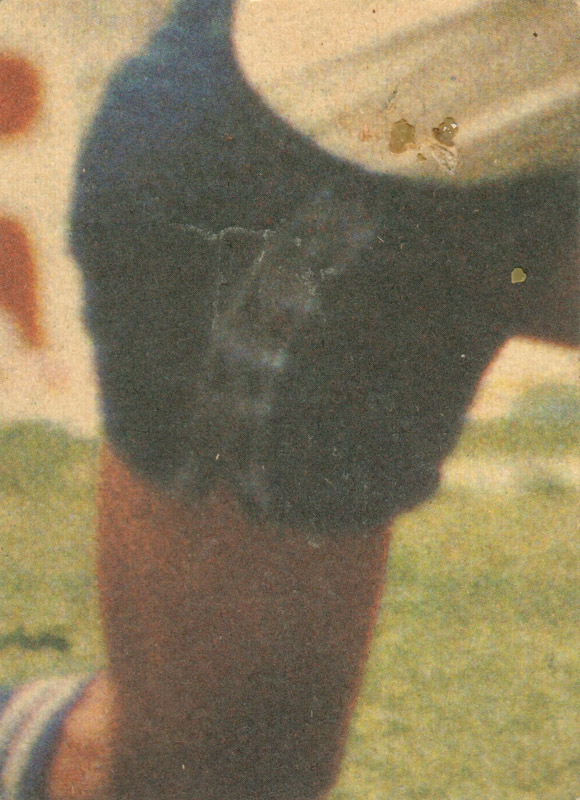 Steve Hansard back