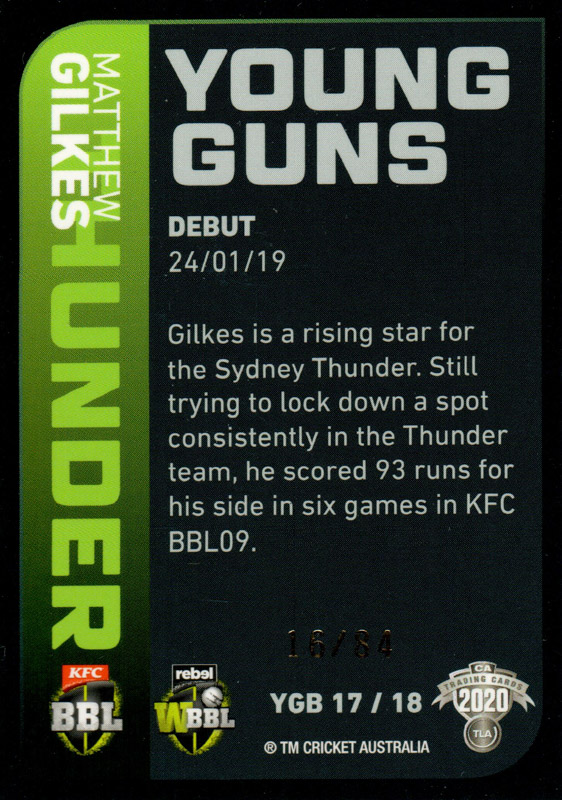 Matt Gilkes back