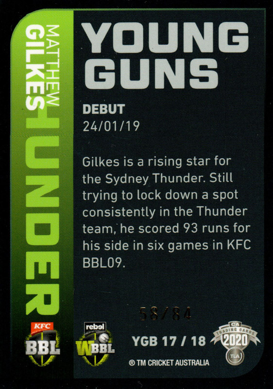 Matt Gilkes back