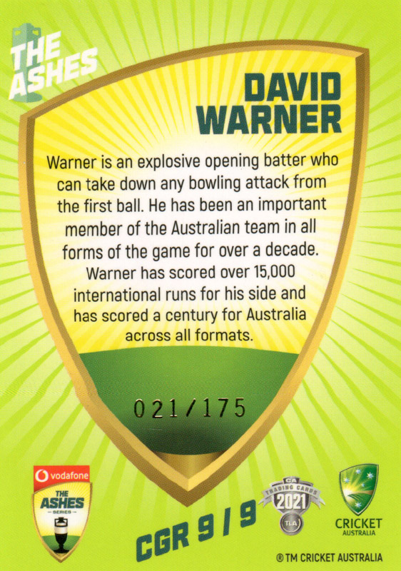 David Warner back