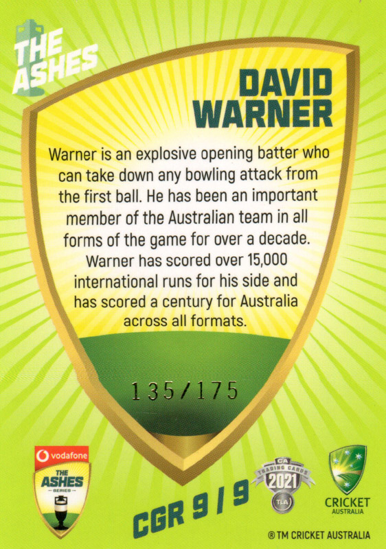 David Warner back