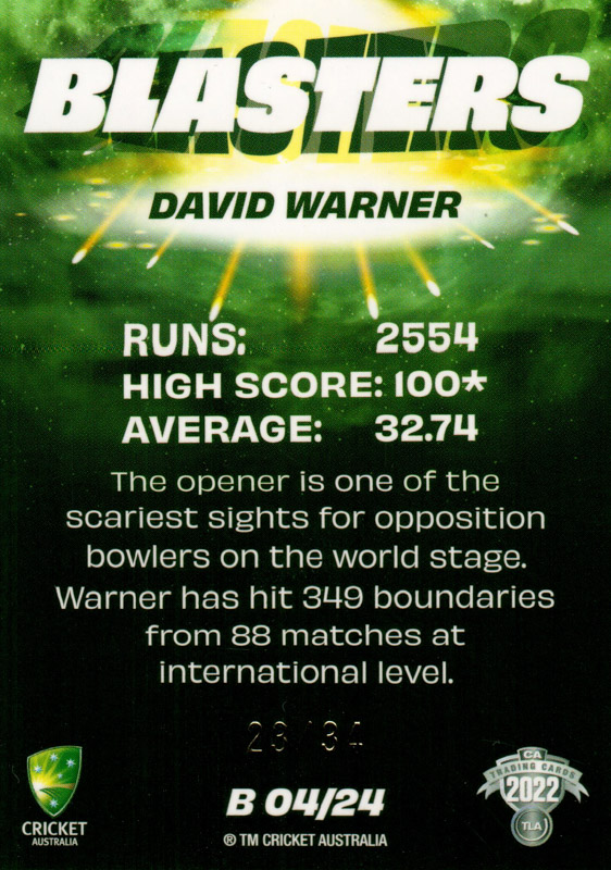 David Warner back