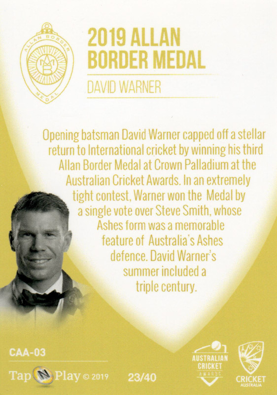 David Warner back