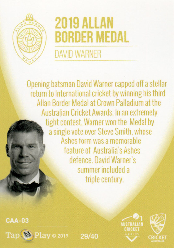 David Warner back