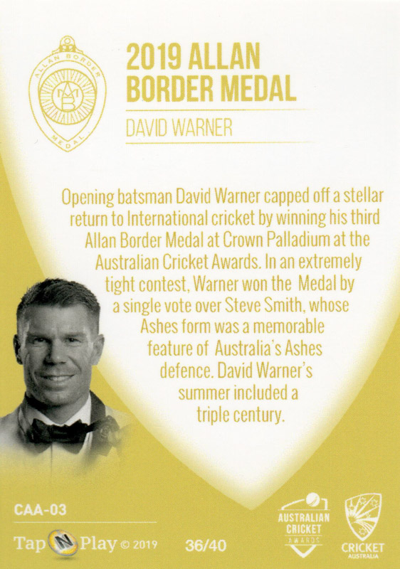 David Warner back