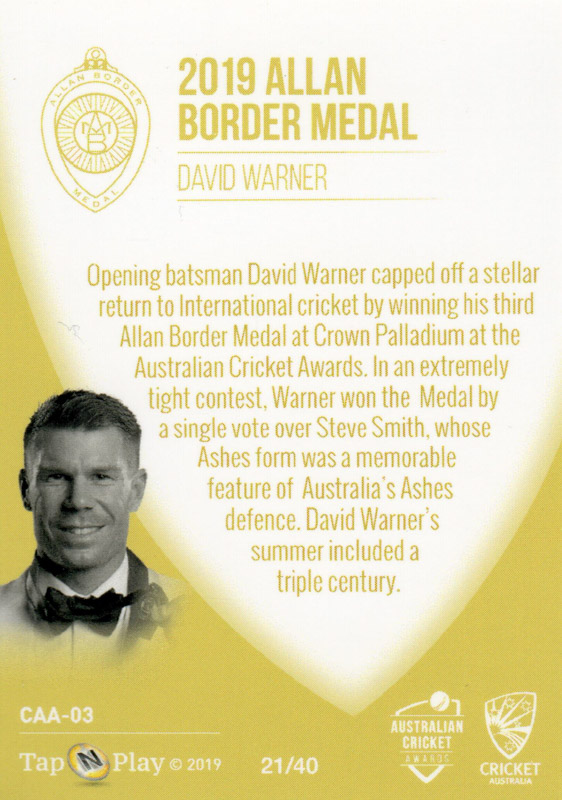David Warner back