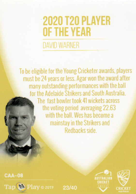 David Warner back