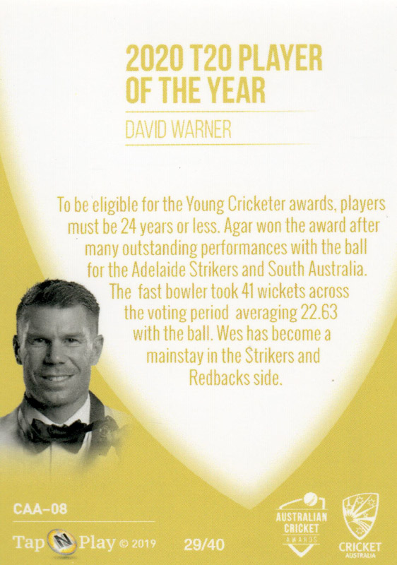 David Warner back