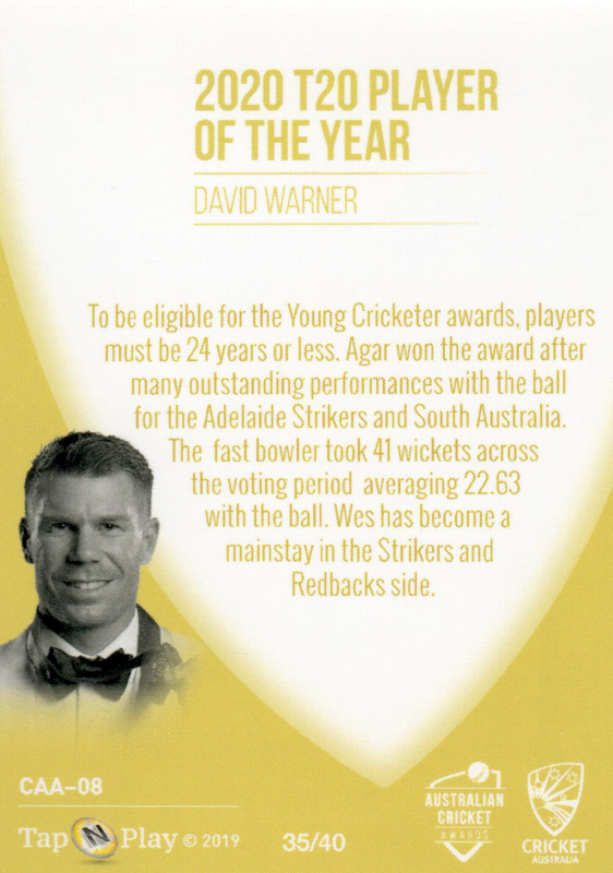 David Warner back