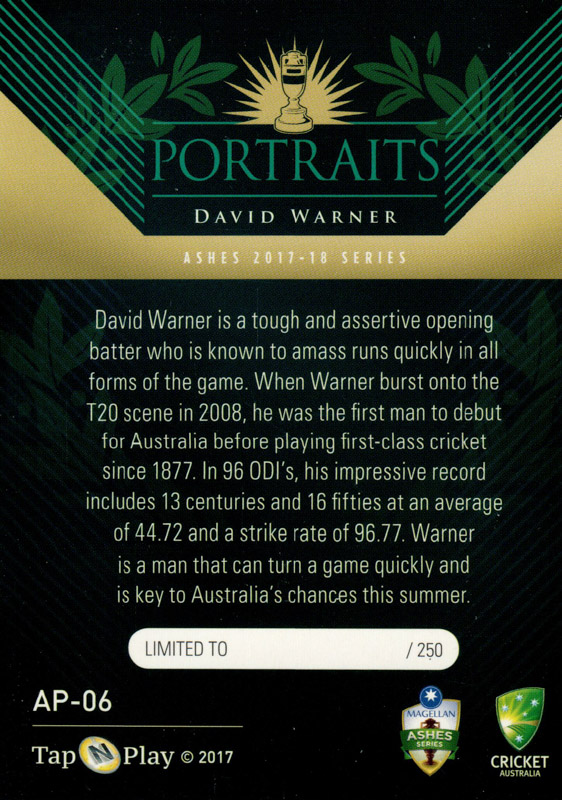David Warner back