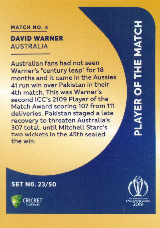 David Warner back