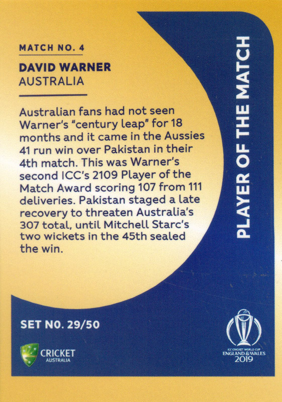 David Warner back